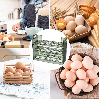 Organizador para 30 Huevos