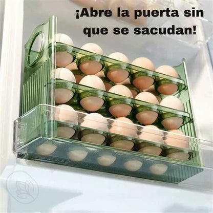 Organizador para 30 Huevos